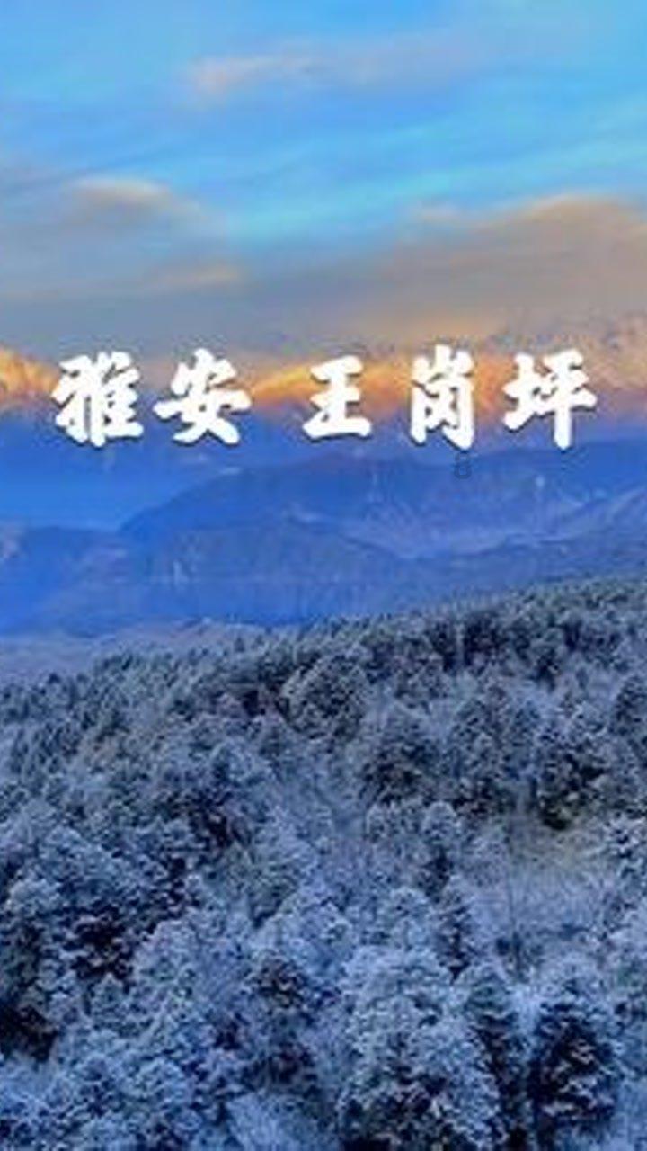 冷知识分享平台——面对沉迷游戏的孩子,你一般会怎么教育?首选!