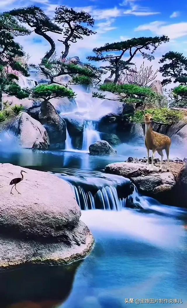 前置前驱和前置后驱是什么意思？
